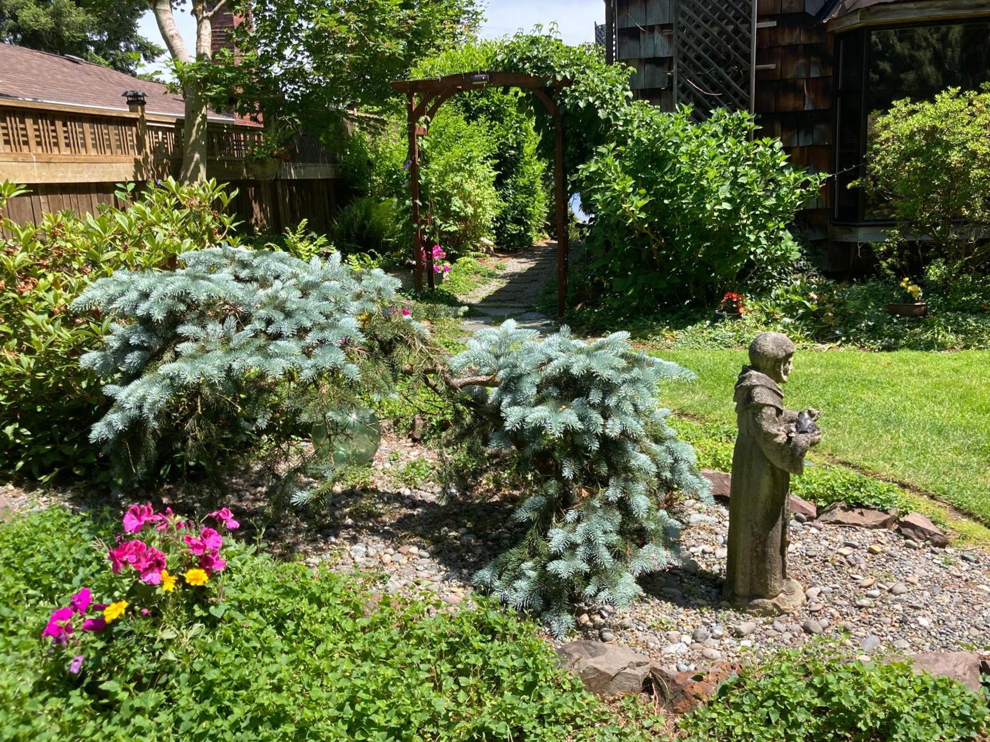 וודינוויל Cottage Lake Bed And Breakfast מראה חיצוני תמונה