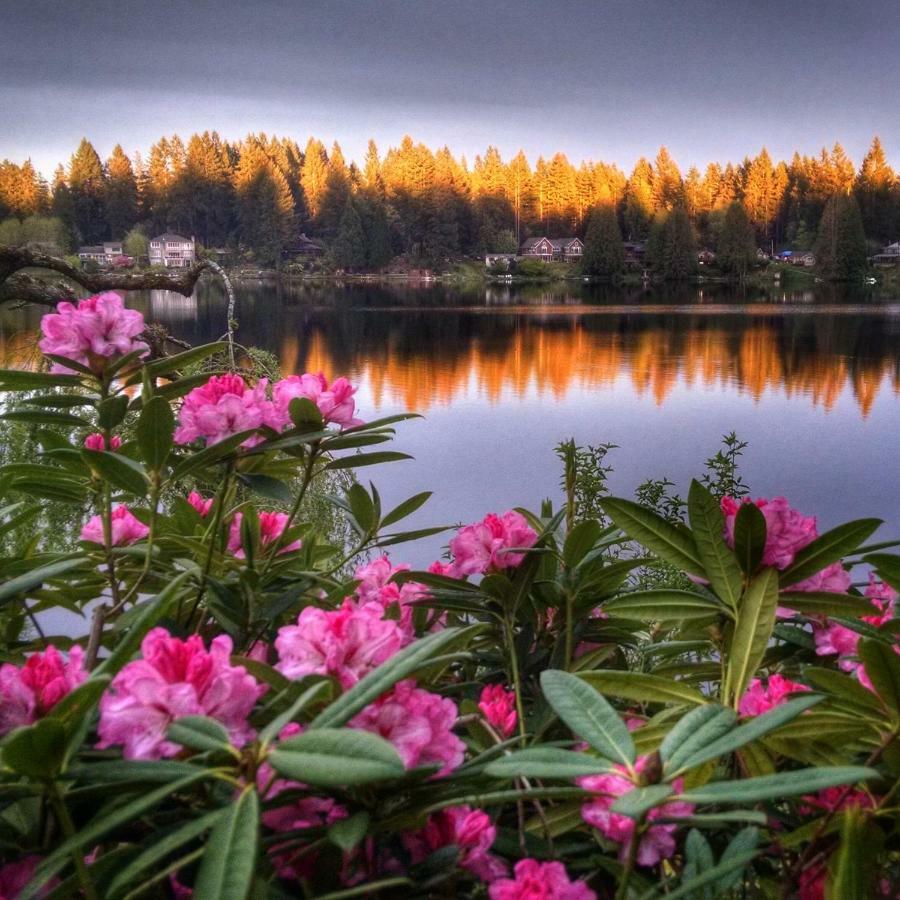וודינוויל Cottage Lake Bed And Breakfast מראה חיצוני תמונה